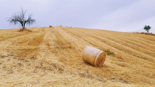 Hay bales on field against sky