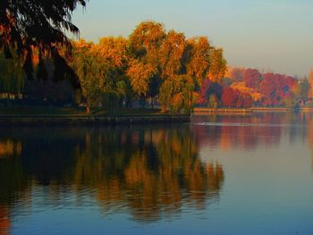 Scenic view of lake by trees during autumn