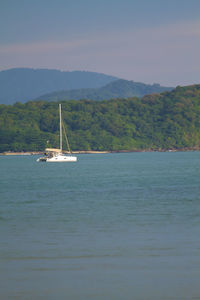 Sailboat sailing on sea against sky