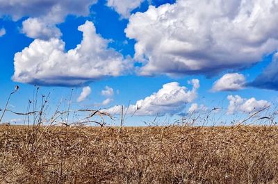 Countryside landscape against cloudy sky