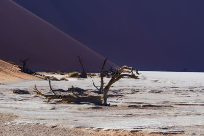 Lifeguard hut on desert against clear sky