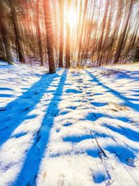 Snow covered land