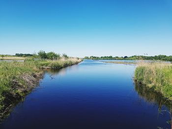 Scenic view of lake against clear blue sky