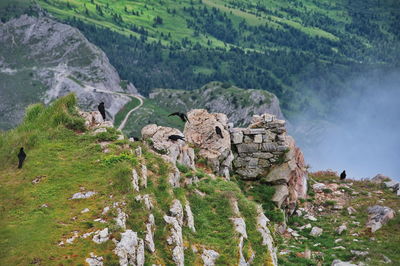 Amazing rocks of dolomite mountains in italy