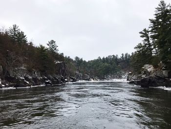 Scenic view of river amidst trees against sky