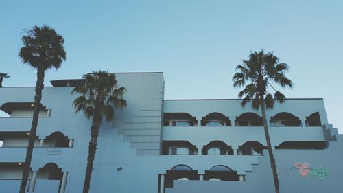 Low angle view of palm trees against clear blue sky