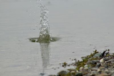 Close-up of sea splashing water against clear sky