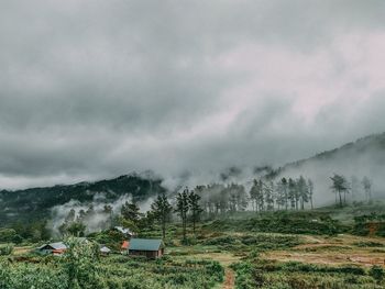 Scenic view of landscape against sky