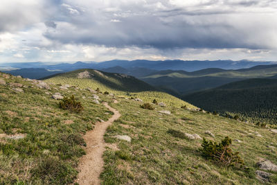 Landscape in the mount evans wilderness