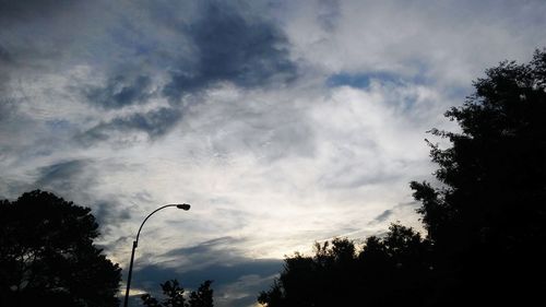 Low angle view of trees against cloudy sky