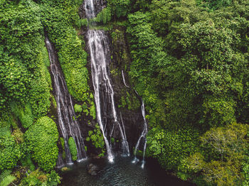 Scenic view of waterfall amidst trees in forest