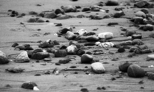 Close-up of stones on beach