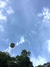 Low angle view of trees against sky