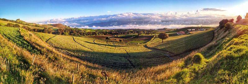 Panoramic view of agricultural field against sky