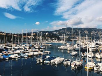 Sailboats moored in harbor