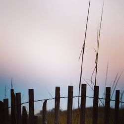 Close-up of sky at sunset
