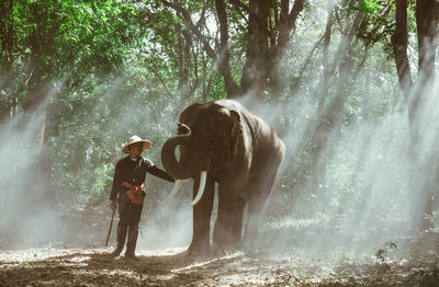 Man with elephant standing in forest