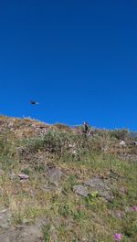 Man flying over grass against clear blue sky