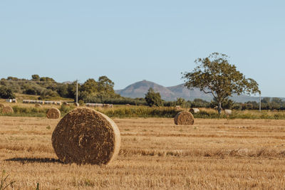 Hay bales on field against sky