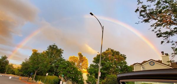 Low angle view of rainbow over trees against sky