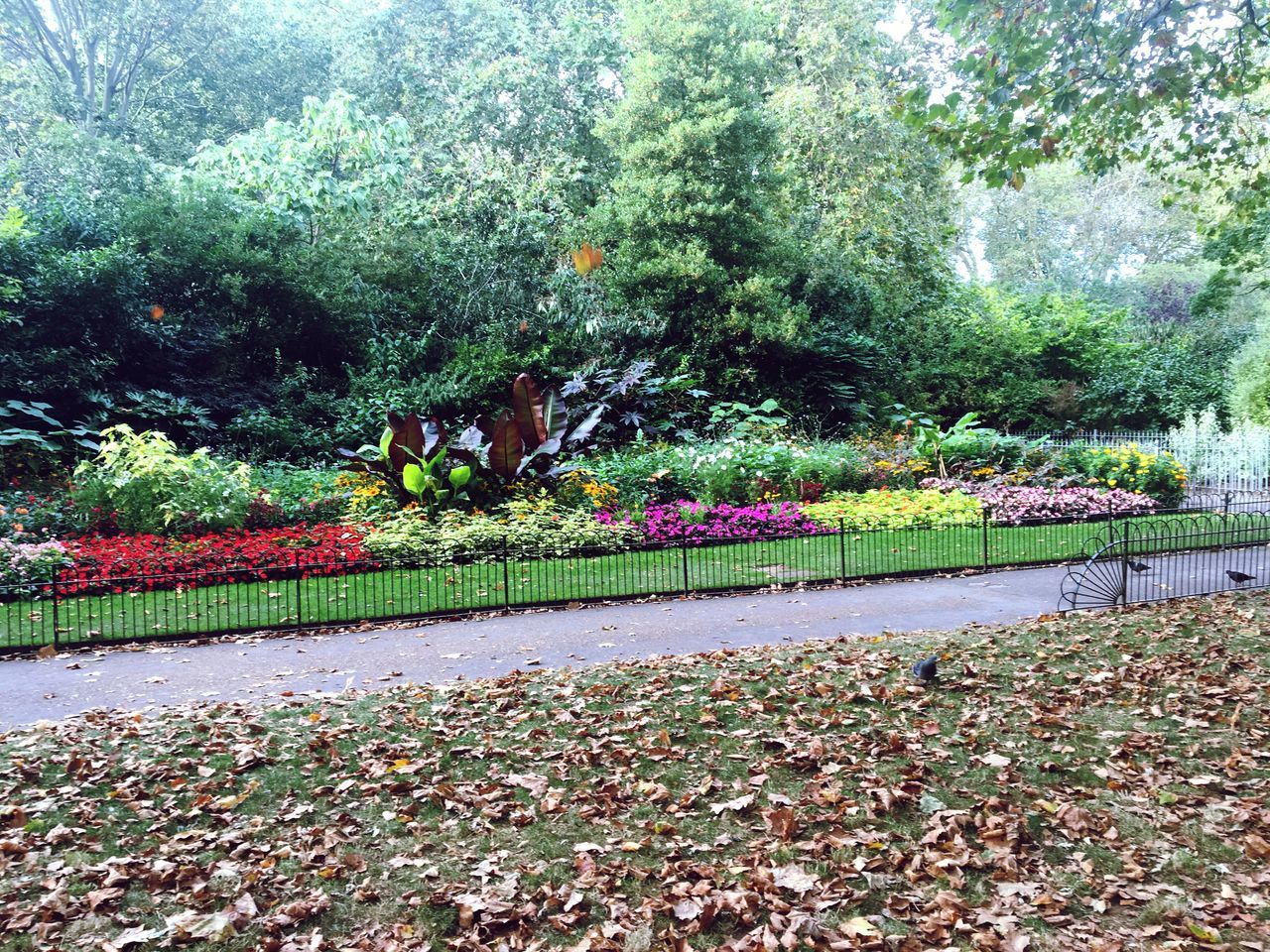 VIEW OF PARK IN PARK