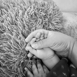 Close-up of hands holding sleeping