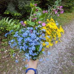 Low section of person holding bouquet of flowering plant