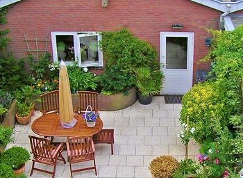 Potted plants on balcony