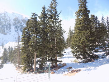 Scenic view of mountain against sky