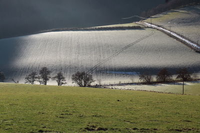 Scenic view of field against sky