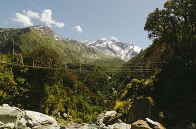 Low angle view of trees on mountains against sky