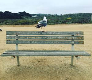Seagull perching on bench with text on beach