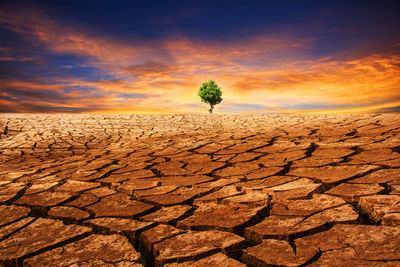 Scenic view of desert against sky during sunset