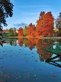 Autumn trees by lake against sky