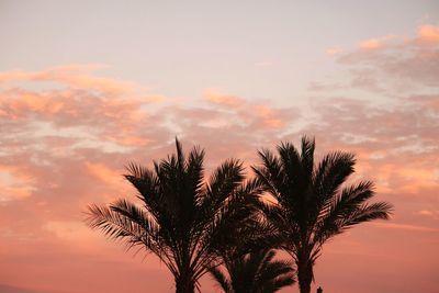 Silhouette palm trees against sky during sunset