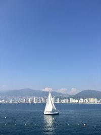 Sailboat sailing in sea against clear blue sky