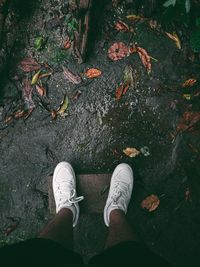 Low section of person standing on autumn leaves