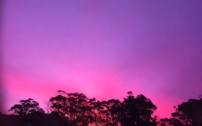 Low angle view of silhouette trees against sky at sunset