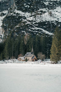 View of trees on snow covered land