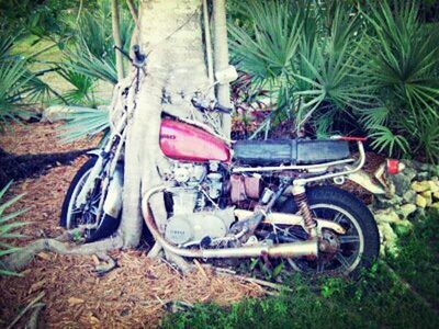 transportation, mode of transport, land vehicle, bicycle, stationary, plant, car, parking, parked, wheel, travel, outdoors, day, abandoned, no people, nautical vessel, grass, tire, growth, nature