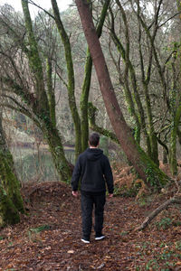 Rear view of man walking in forest