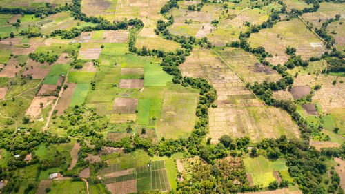Top view of agricultural land and rice fields in the countryside. sri lanka.