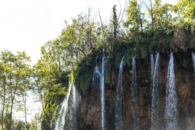 Scenic view of waterfall in forest against sky