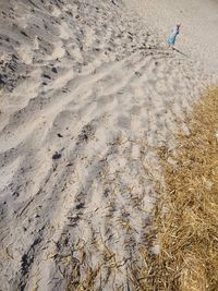 Rear view of girl walking at beach