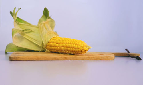 Close-up of corn against white background