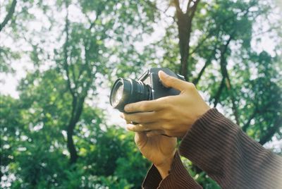 Low angle view of hand holding plant against trees in forest