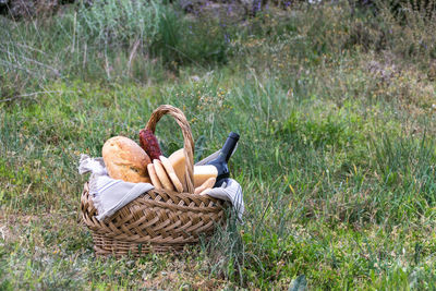 Picnic basket on grass