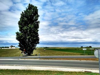 Trees on field by road against sky