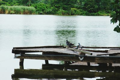 Birds perching on wooden post in lake against sky