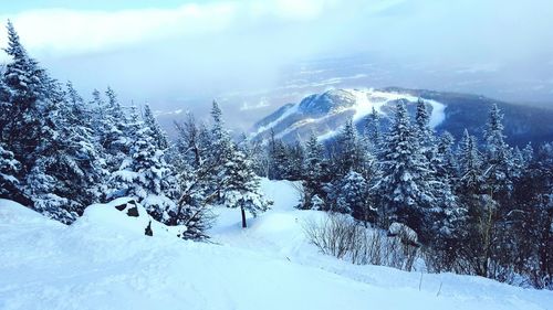 Snow covered field